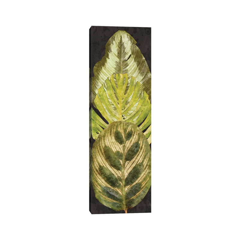 Tropic Collection V by Alonzo Saunders - Wrapped Canvas Painting, 30.48 cm H x 91.44 cm W x 1.91 cm D