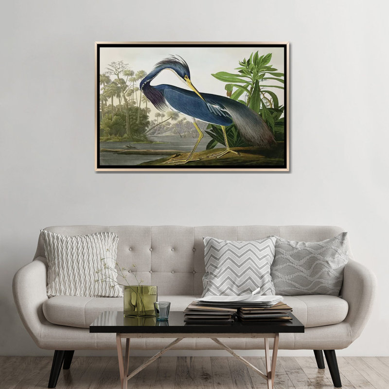 «Wick Louisiana Heron» par John James Audubon, reproduction sur toile, H 26 po x l 40 po, Impression encadrée, Bois classique
