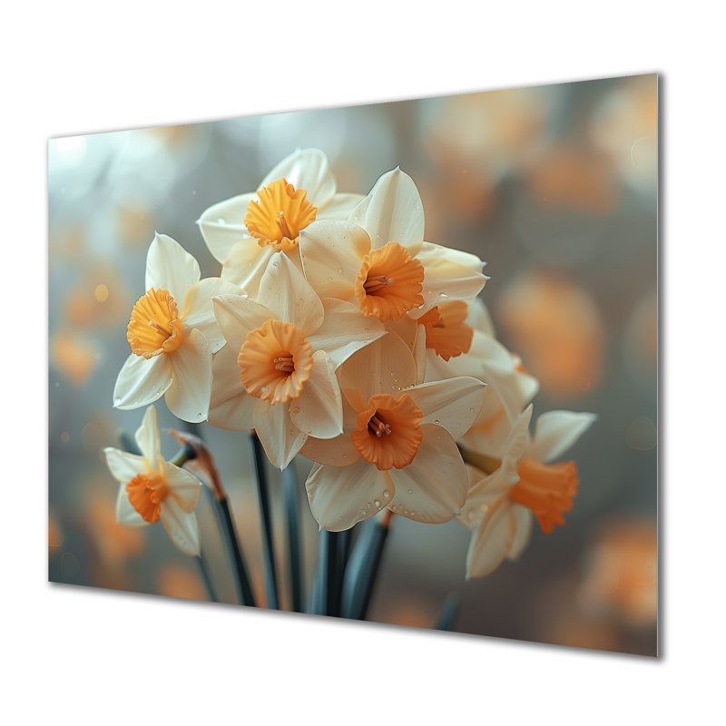 «White Orange Trumpet Of Hope Daffodils - Daffodils», art mural, Sans cadre, métal, H 16 po x l 32 po