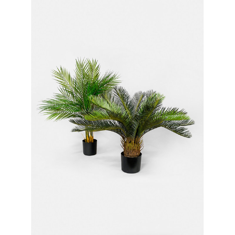Plante de palmier en pot 23 po