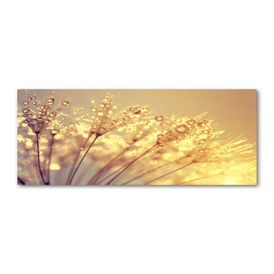 Dandelion Canvas Seeds - Wrapped Canvas Print
