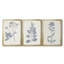 Marine Botanicals IV - Toile tendue avec châssis sur mesure - 3 pièces-117242439-117242440