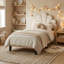 EU Single (90X200cm) Scalloped Shell Bed, Glam Upholstered Platform Frame, Burgundy & Beige Velvet-1608467013