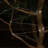 38.65' Outdoor Solar Powered 100 - Bulb Rope String Light-1792392826