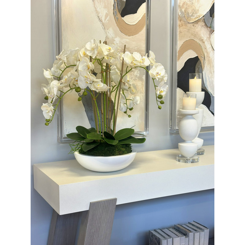 Orchid Arrangement in Round Fiberstone Pot