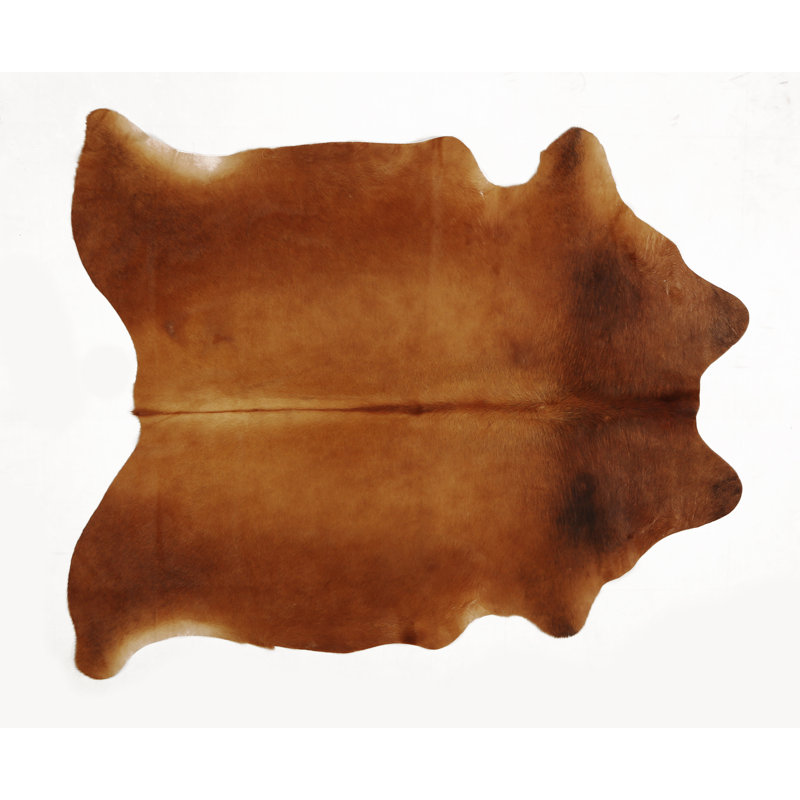 Okehampt One-of-a-Kind 5'8" x 6'6" Area Rug in Tan