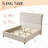 Jamileth Upholstered Sleigh Bed-26341943-26341945