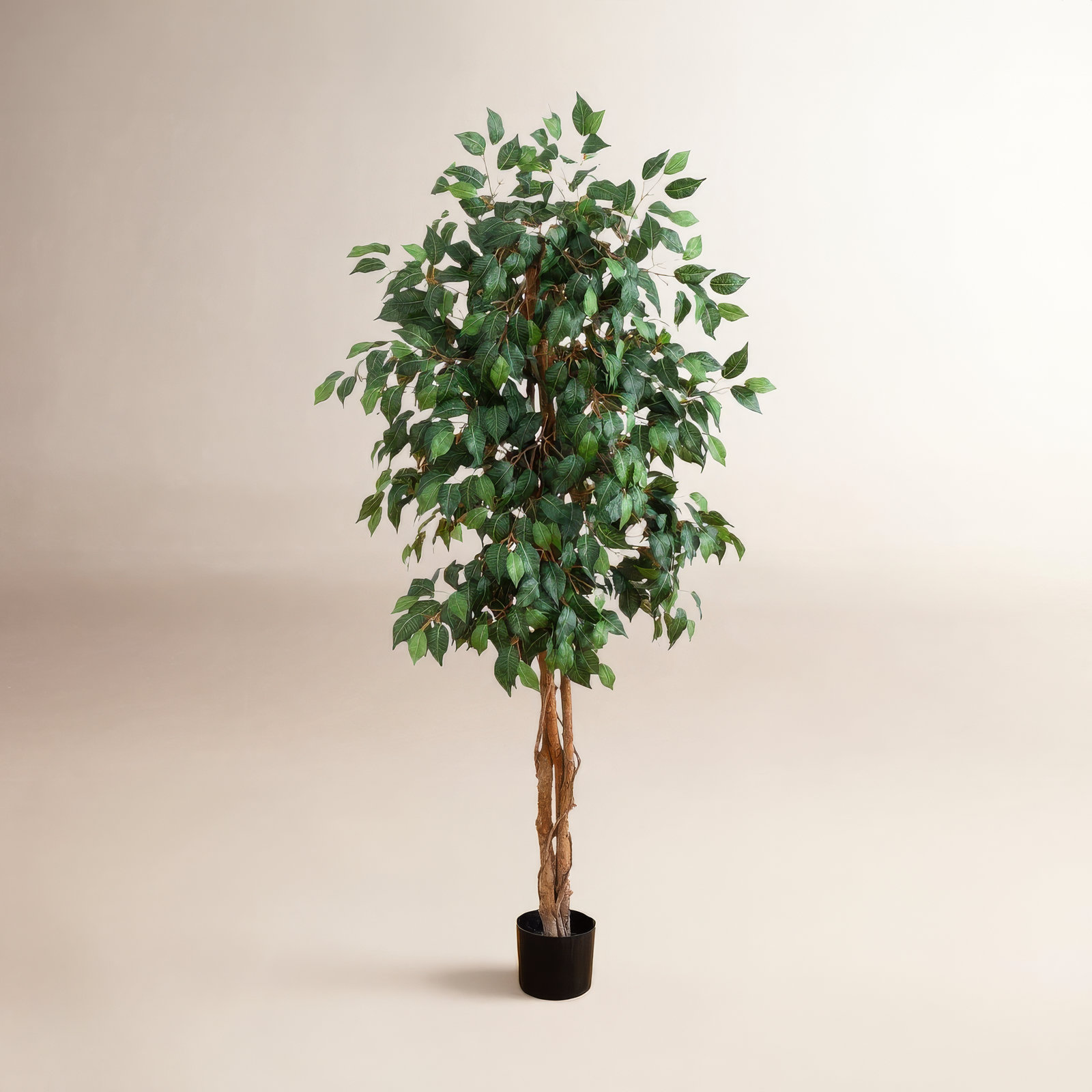 Faux Ficus Tree in Planter, 60" H x 33" W x 33" D