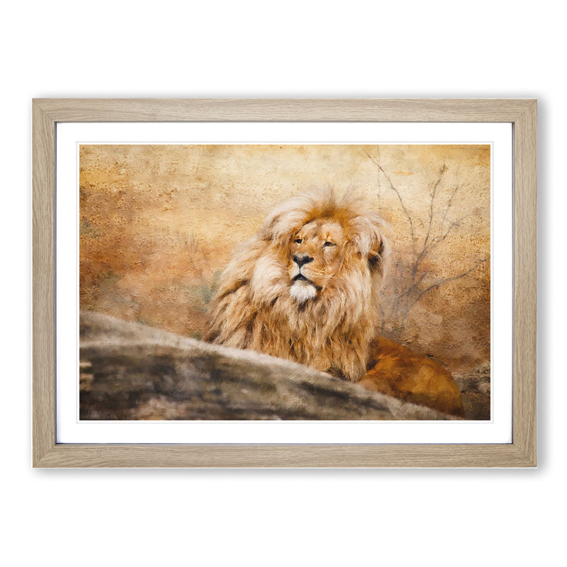 Lion Vol.1 - Picture Frame Graphic Art, 36cm H x 48cm W x 2cm D, Oak Framed