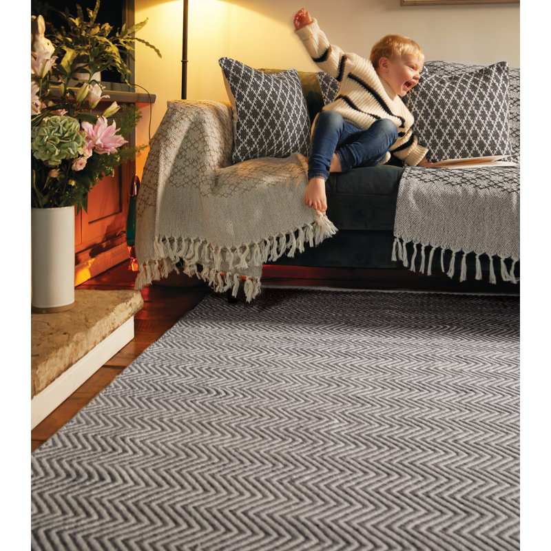Alcimon Chevron Hand Woven Indoor / Outdoor Area Rug, Rectangle 80 x 150cm