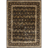Extravagance II Hand Knotted Area Rug