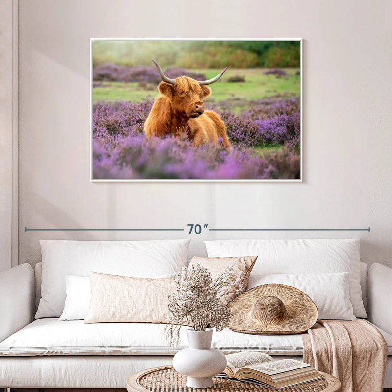 Highland Cow Paradise, Cadre flottant blanc, 43 po x 29 po
