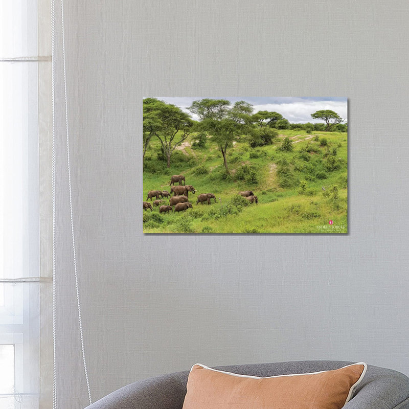 Elephant Heard by Anders Jorulf - Wrapped Canvas Gallery-Wrapped Canvas Giclée, 66.04 cm H x 45.72 cm W