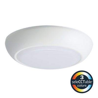 Dimmable Circle Flush Mount