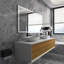 Ensemble de meuble-lavabo double 72 po avec plateau Quane