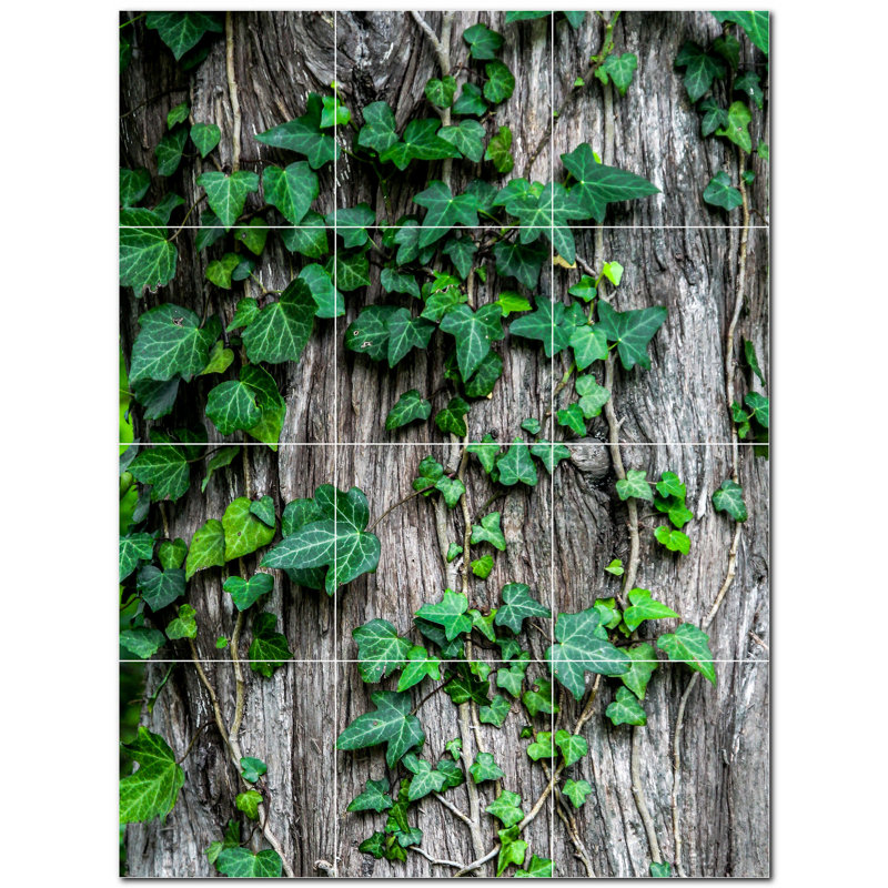 Trees Photo Decorative Mural