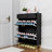 Marthalee Faux Wood Shoe Storage Cabinet-104716714
