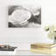 Rose Studies IV by James McLoughlin - Print on Canvas-320335469-378420242