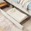 Lit simple réglable beige avec 2 tiroirs de rangement, rembourré pour la chambre à coucher, design moderne, assise confortable, lit en velours convertible en eucalyptus et cadre, surface douce, renforcé