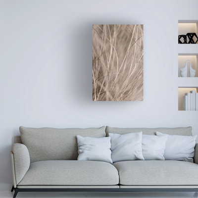 Bolog Mareike Bohmer Summer Grass 3 Canvas Art