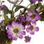 20" Garden Accents Purple Daisy Wreath