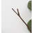 Lighted Eucalyptus Branch with 32 LED Lights