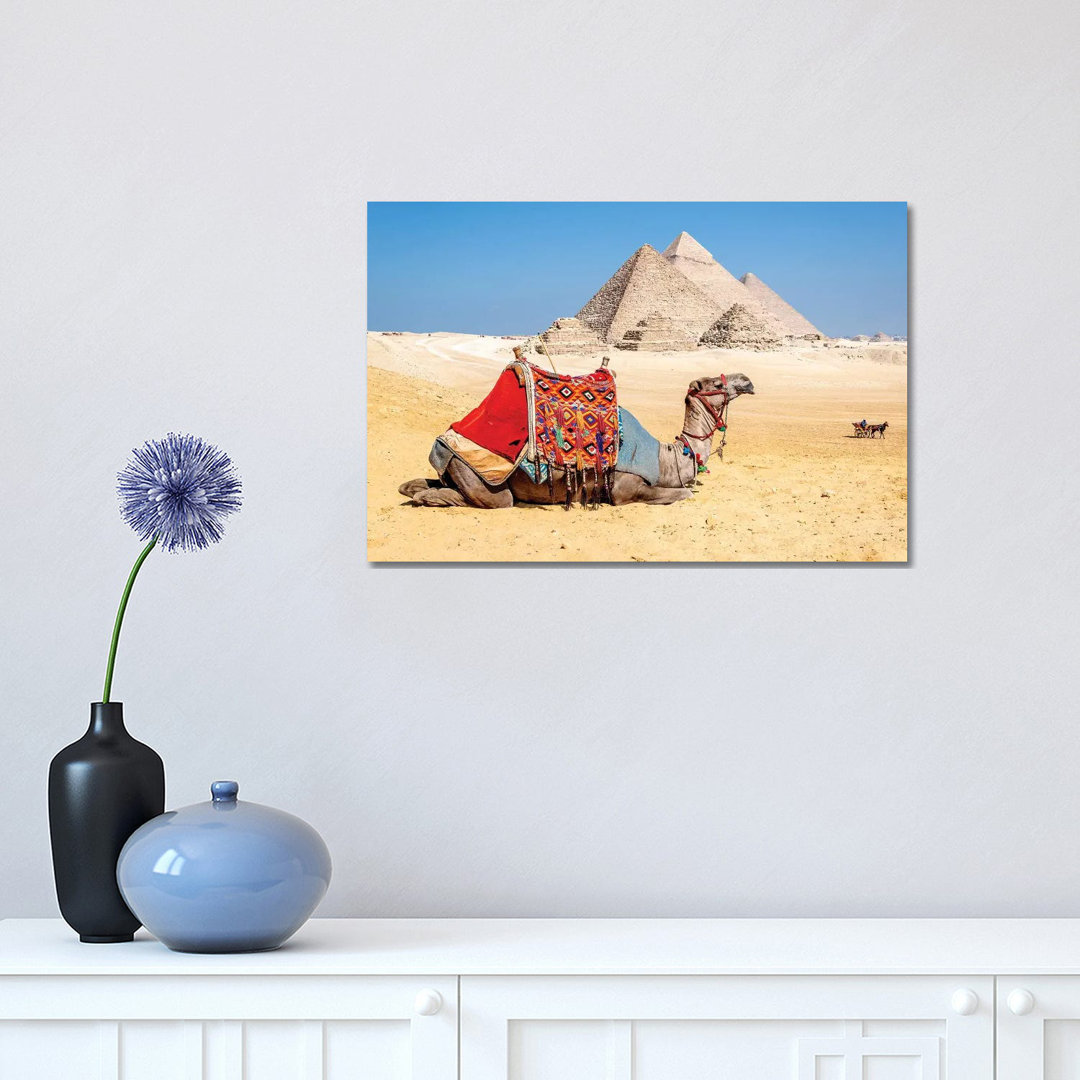 Camel Resting By The Pyramids, Giza, Egypt