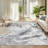 Abstract Machine Washable Area Rug Low Pile Non-Slip Stain-resistant Carpet for Living Room Bedroom Dining Room-1705412314-1705412316