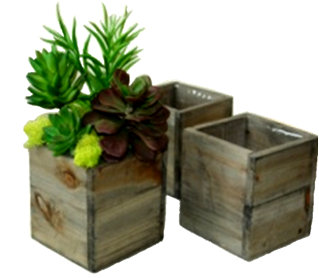 Ensemble de 3 boîtes à fleurs en bois Creekside