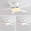 Andreano 122cm Ceiling Fan with LED Lights-1124662481