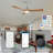 Emmabelle 52'' Ceiling Fan with LED Lights