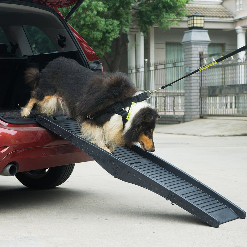 Black 60-Inch Tri-Fold Nonslip Dog Ramp with Raised Sides