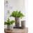 Set Of 2 6.5X6.5X6.5" Fillmore Planter,Small Round