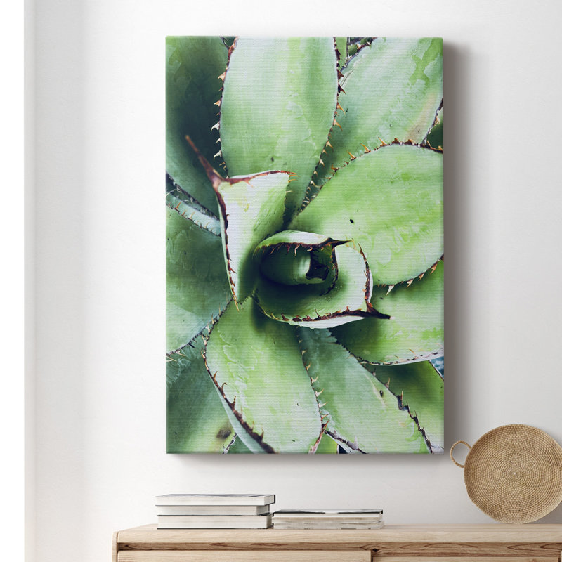 Green Tropical Succulent VI - Photographie sur toile tendue, H 36 po x l 24 po x P 1,5 po