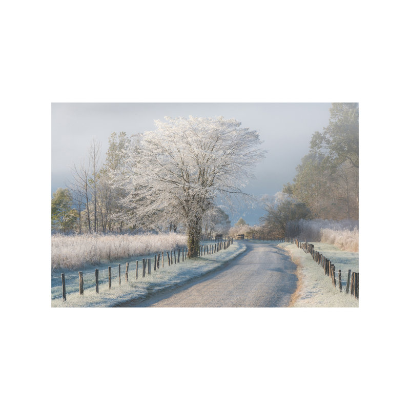 A Frosty Morning by Chris Moore - Wrapped Canvas Print, 66.04 cm H x 45.72 cm W x 3.175 cm D