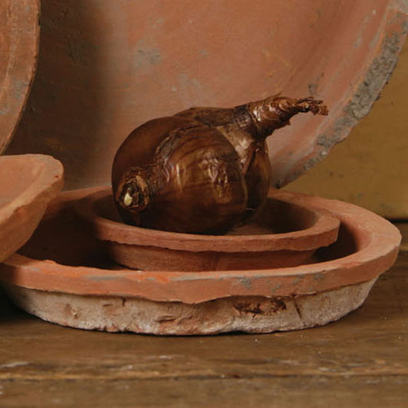 Ondina Terracotta Saucer