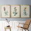Toile encadrée de qualité supérieure Traditional Botanical I - prête à être accrochée-69982459-69982464