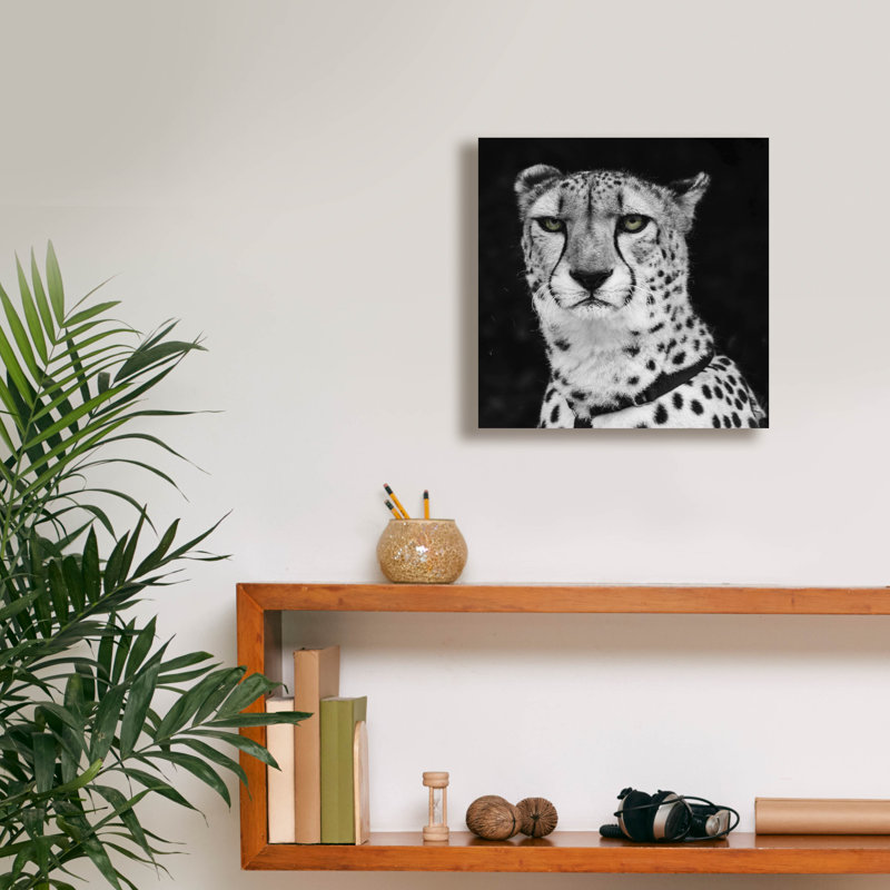  «Cheetah» par Decent Exposures, art mural sur toile, 12 po x 12 po, H 12 po x l 12 po x P 0,75 po