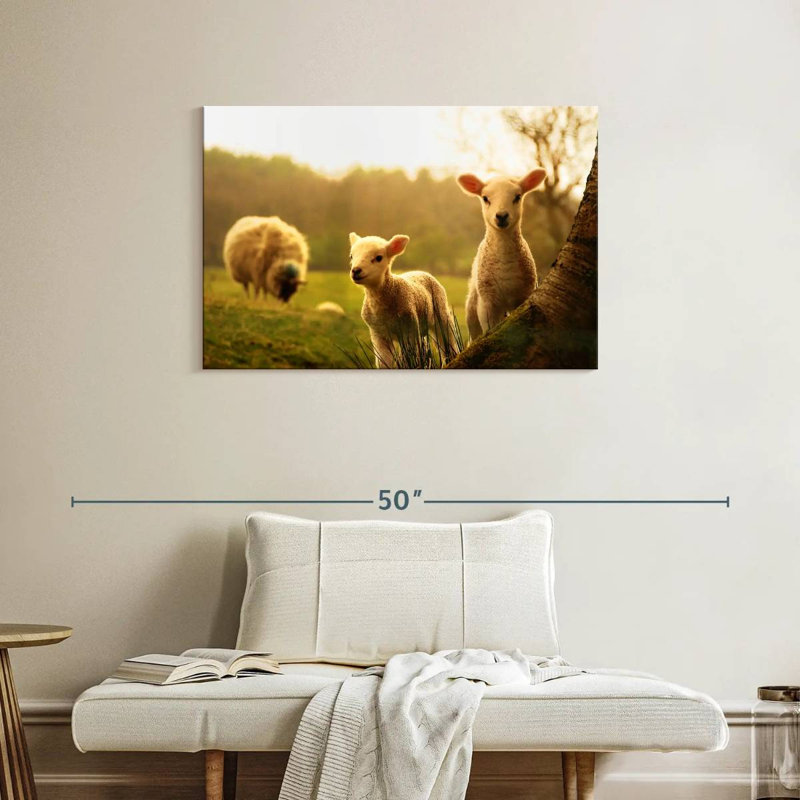 Brampt Baby Lambs, 24" H x 36" W
