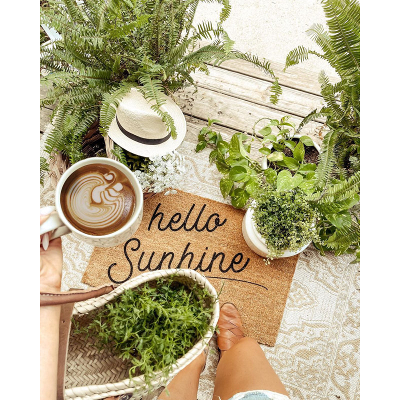 Euriah Non-Slip Outdoor Doormat, 22" W x 36" L