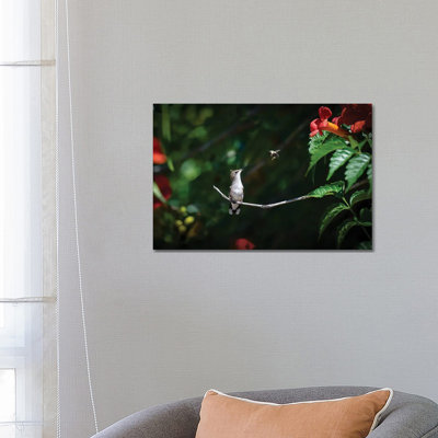 Excuse Me! by David Gardiner - Wrapped Canvas Print