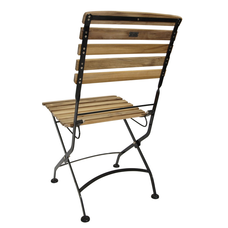 Peashrub Folding Patio Dining Side Chair with Cushion