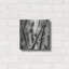 Ebern Designs «Leaves BW 02» par Tom Quartermaine, art mural en métal-1142619742