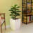 Jaymalin Glass Cachepot-882659108