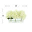Hydrangeas Arranged in Clear Glass Vase-1541245386
