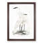 Illustration of White Herons by John Edward Gray - Picture Frame Painting Print-55579690-55579689