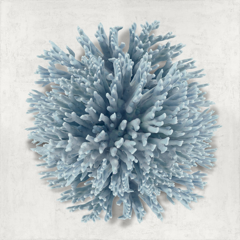 Coral Blue I by Caroline Kelly - Wrapped Canvas Print, 122cm H x 122cm W