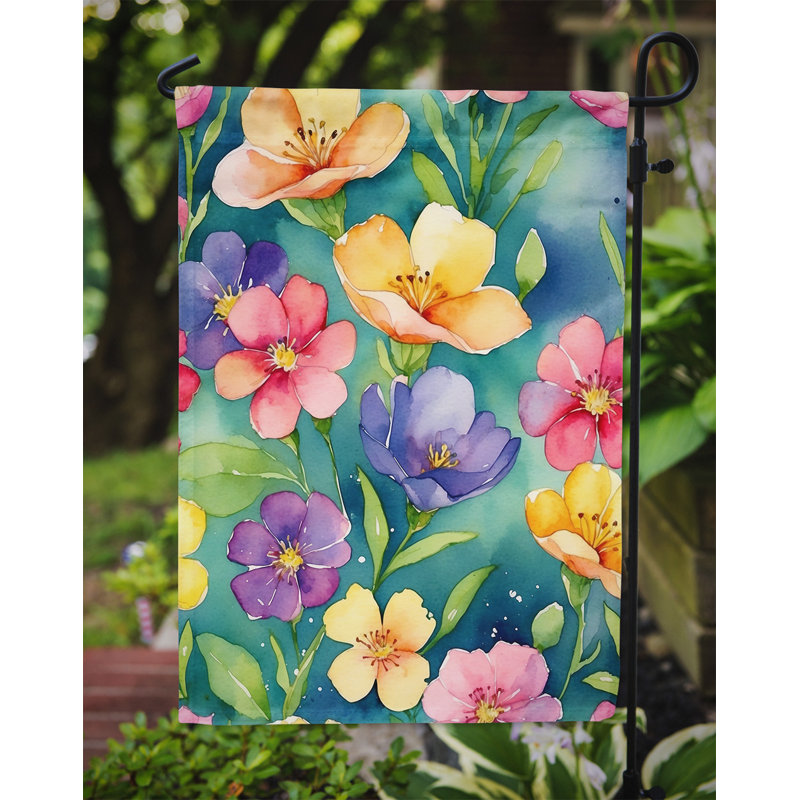 Orchidées paphiopedilum, drapeau du jardin, Stock ou fleurs de giroflée