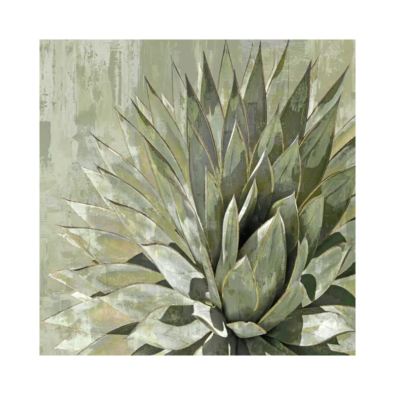 Succulent V 1 Piece Wrapped Canvas Painting, 45.72 cm H x 45.72 cm W x 3.175 cm D