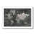 White Framed Paper Print